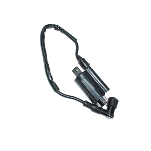 Bobina de encendido FD611V y FD661D, módulo de chispa compatible con 21121-2076 5