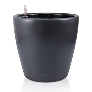 Dexceder 13x12 Self Watering Planter with Wheels Indoor Outdoor, Inner Pot Design, Thickened Large Floor Standing Flower Plant Pot with Water Level Indicator (Slate Gray Matte) Dexceder 13×12 Self Watering Planter with Wheels Indoor Outdoor Inner Pot Design Thickened Large Floor Standing Flower Plant Pot with Water Level Indicator Slate Gray Matte