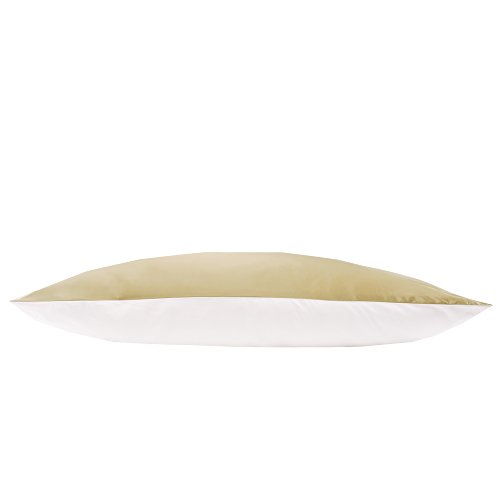 Jasmine Silk Taie d'oreiller 100 % soie satinée 19 momme - Intérieur en coton - 50 x 75 cm