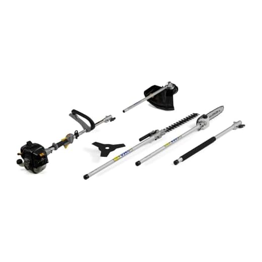 Alpina Multitool AMT 26 â€“ 5 In 1, Motore A Scoppio Da 25,4 Cc, Asta Telescopica, Pratico E Compatto, Accessorio Tagliasiepi, Decespugliatore Con Filo E Lama, Bretella Inclusa