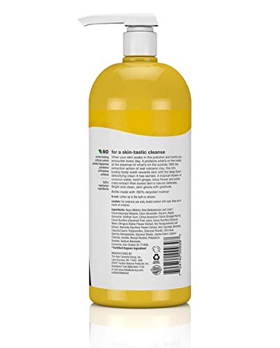 Alba Botanica Hawaiian Detox Body Wash, Anti-Pollution Volcanic Clay, 32 Oz - Thumbnail 4