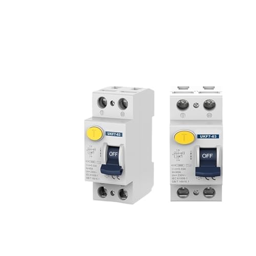 Disjoncteur différentiel RCCB 2P 32A 300mA pour la protection électrique