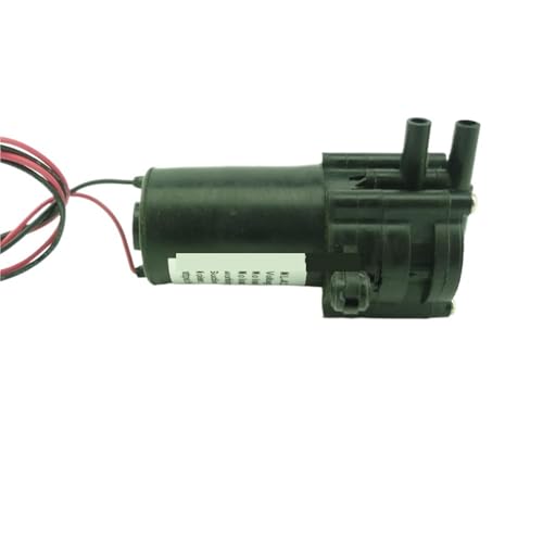 Mini pompe à eau électrique 12V auto-amorçante pour transfert fluide