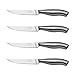 Chicago Cutlery Insignia2 Steel 4-Piece Steak Knife Set