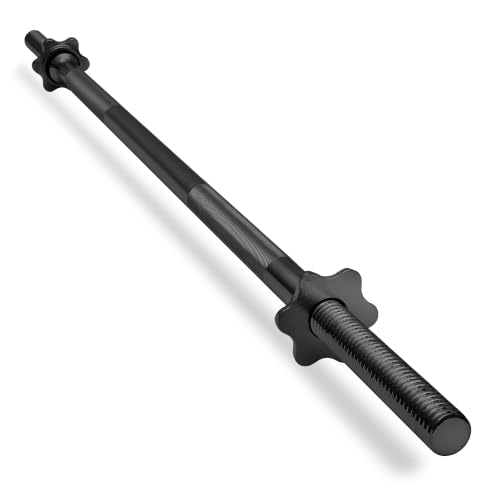 Philosophy Gym Threaded Barbell