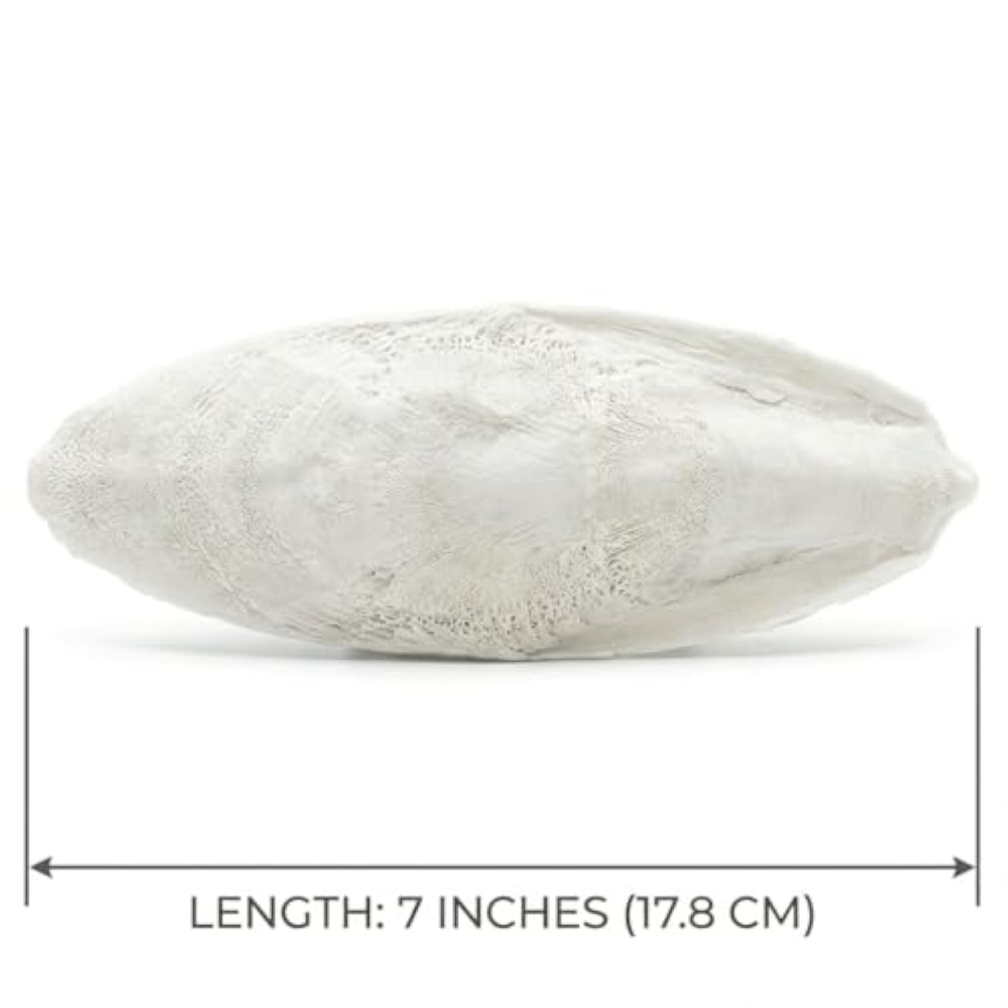 Cuttle Fish Bone for Pet Birds, 100% Natural Calcium Source
