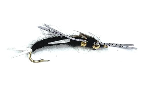Speckled Double Beaded Stonefly for Fly Fishing. Nymph Fly or Wet Fly (4, Black)