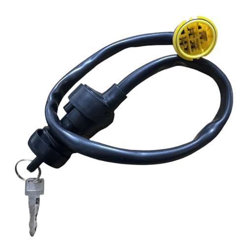 Distribuidor de encendido Jianshe 250Atv SSM5-51000-0 de 4 pines con llave