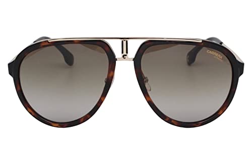 Sunglasses Carrera 1003 /S/sam 02IK Havana Gold/Ha Brown Gradient2