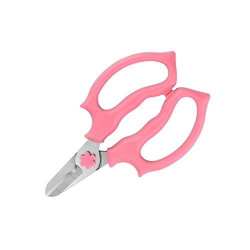 Milisten Ciseaux De Jardinage Portable Acier Inoxydable Outil Pratique Pour Élagage Et Entretien Des Plantes Pour Amateurs De Jardinage Professionnels Couleur Aléatoire Un Soigné