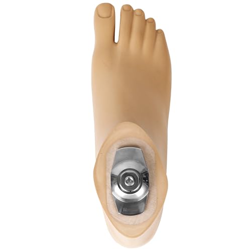 Moventix SACH Split Toe Prosthetic