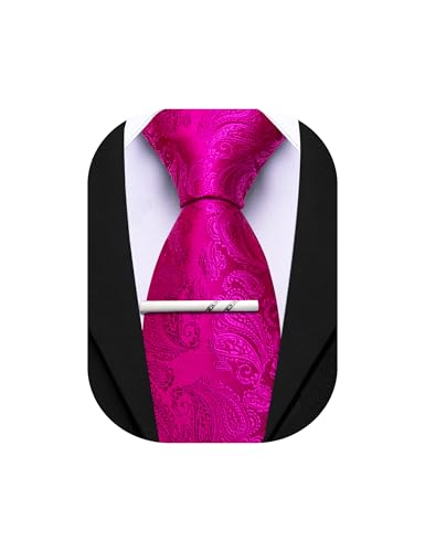 Image of Barry.Wang Paisley Tie for Men Silk Woven Necktie and Tie Clip Set Wedding Party Business Formal
