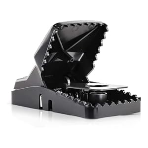 Large Heavy Duty Rat Traps – ...