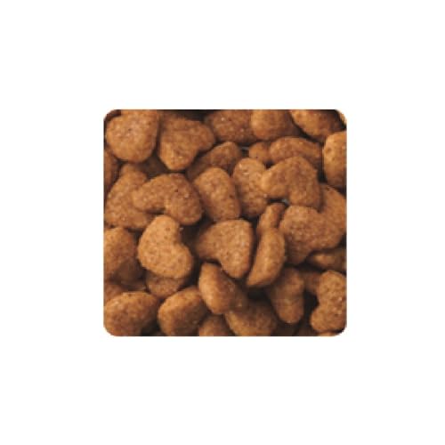 ビューティープロ キャットフード 成猫用 1歳から フィッシュ味 1.5kg