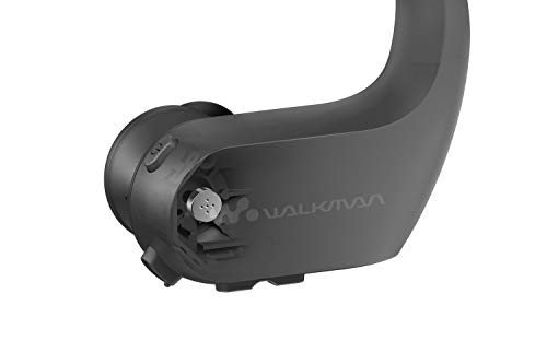 (Refurbished) Sony Walkman NW-WS623 4GB Wireless MP3 Player with Bluetooth and NFC (Black)