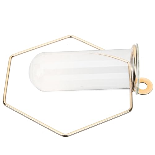 DOITOOL Vase Mural Hexagonal Verre et Fer pour Propagation de Plantes Décoration Murale Élégante pour Salon Bureau et Balcon Support Hydroponique Simple et Résistant