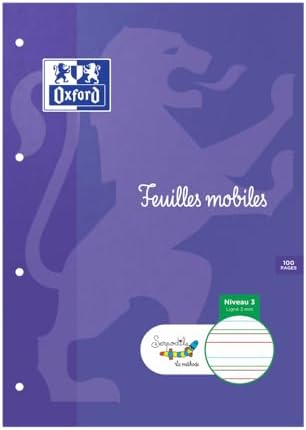 Feuilles Simples Spéciale DYS A4 100 Pages avec des Lignes de Cou...