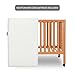 Newton Baby Galileo Mini Crib Solid Beech Wood with Wheels in Chestnut Color, Mini Crib Mattress Included, Adjustable Mattress Height, Ultra-Safe Non-Toxic Finish