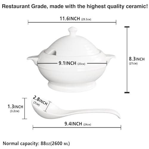 Creativity Home Casserole Dish with Serving Handles, 2.7 Qt soup Tureen With Lid and a 9.4-inch Spoon, for Dinner and Party Microwave Safe 11.6 Inch
