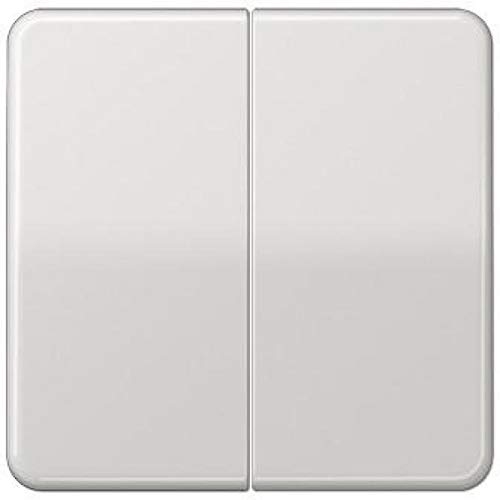 Jung CD1702LG touche double standard de commande en finition gris clair