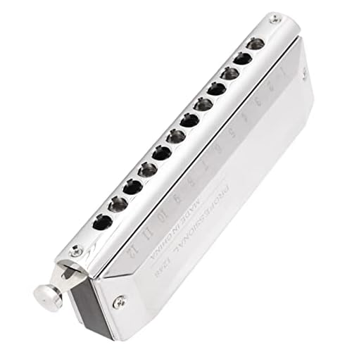 Harmonicas 12 trous, harmonica chromatique à couverture épaisse en