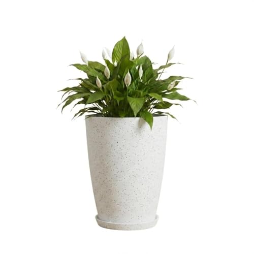 Image of Urban Upvan 14 Inch Solid White Tower Pot with Tray - Large Round Planter for Indoor & Outdoor Plants, Durable Decorative Plant Container (Pack of 1)