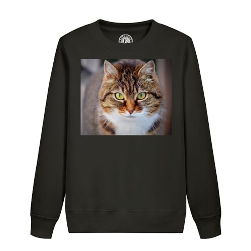 Sweatshirt enfant chat tigre aux yeux verts une idée cadeau originale