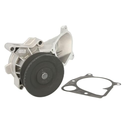 Pompa Dell'acqua Hepu P497