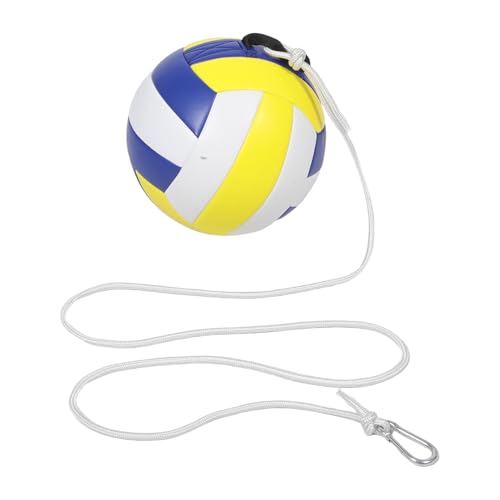 バレーボール トレーニング ボール」の人気商品一覧 | 安い商品を通販