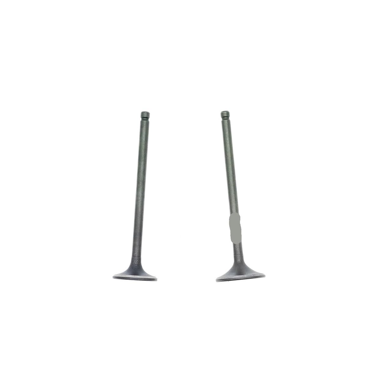 Joints d'huile de soupape pour Motos C50 Z50 CD50 CRF50 DAX50 XR50
