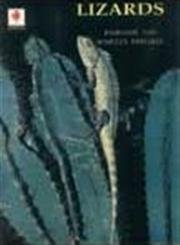 Paperback Lizards Book