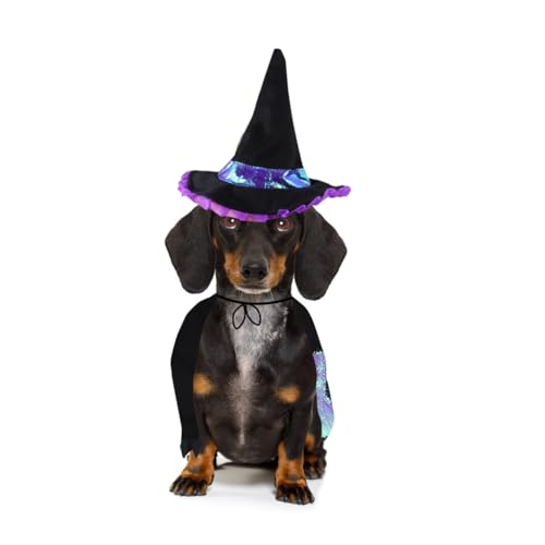 Disfraz Halloween para perro Totority talla L