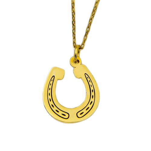 Collar de plata de ley ley 925 con colgante de herradura de la suerte