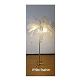 北欧高級ダチョウの羽 LED フロアランプゴールド樹脂コーナーライトアールデコフロアランプリビングルーム用立ち室内灯(D80*H120cm,White feather)