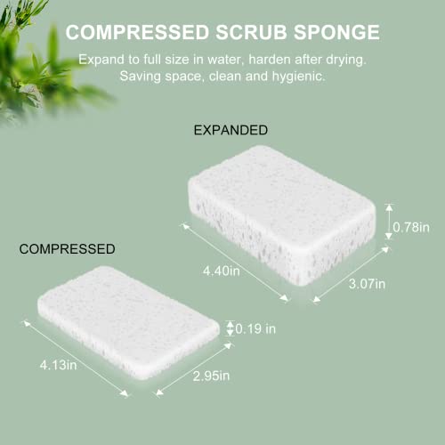 Setsail Dish Brush Set With Storage Holder, 4-In-1 Kitchen Cleaning Brush Set With 2 Interchangeable Brush Heads&Scrub Sponge Bamboo Handle Bottle Brush, Dish Scrub Brush And Corner Brush For Kitchen #TOP5