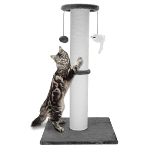 Cat Scratching Post 34 Inches Heavy Duty and Thicker Cat Scratching Post Cotton Rope with Hanging Ball and Mice Scratching Post for Indoor Cats and Adult(Grey)