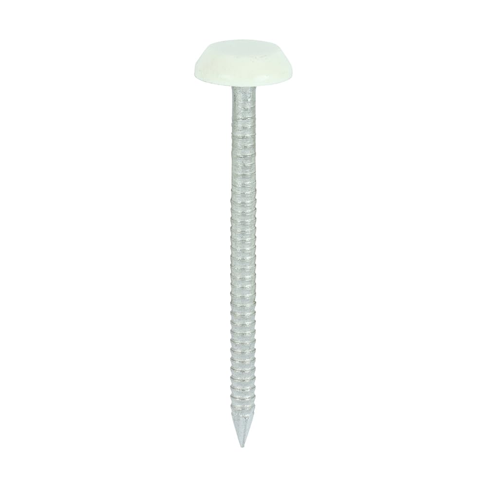 Clous tête polymère Timco en acier inoxydable A4 Vert Chartwell 50mm x100