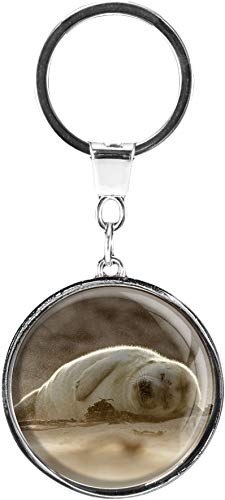metALUm Llavero de Metal/Animales Salvajes/Foca / 6601367