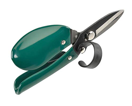 Burgon & Ball Ergo Deadheader Cisaille à tête haute, longueur 14 cm Cover