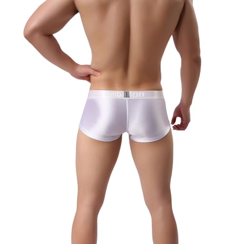 ZONBAILON Mens Sexy Ice Silk Boxer Briefs Underwear Low Rise Bulge Enhancing Pouch Trunks Pack M L XL 2XL 3XL2
