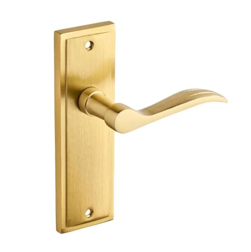 Designer Levers - Berkeley Lever Modern Design Latch Door Handle On Backplate - Brushed Brass