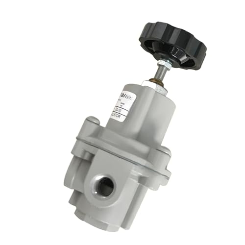 Vanne de régulation de pression 960-015-000 pour stabiliser les débits variables - 2