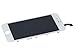 Lcd touch screen digitizer frame assembly full set lcd touch screen replacement iphone 6 4.7inch (Free tool kit included) (6G white)