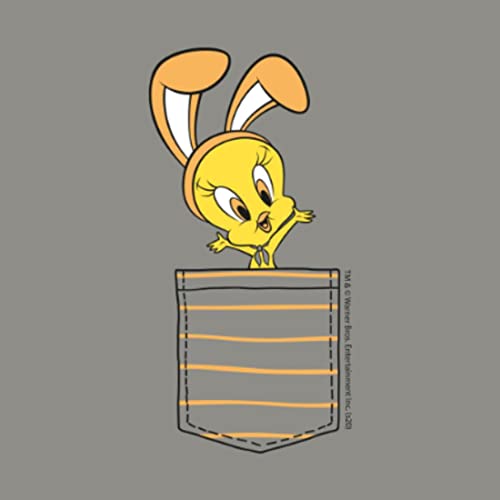 Image of Bewakoof Women's Cute Tweety Pocket 44624 Graphic Grey Round Neck Three-Fourth Sleeve T-Shirt