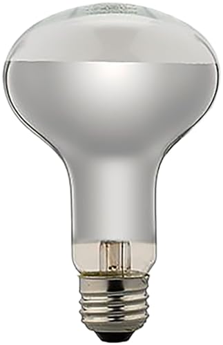 ���t�d��100W�` ������ RF100110V90WL