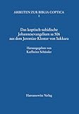  Das koptisch-sahidische Johannesevangelium sa 506 aus dem Jeremias-Kloster von Sakkara: Mit Textvarianten der Handschriften in Barcelona, Cairo, Dublin, Naqlun, New York (Arbeiten Zur Biblia Coptica)