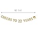 MAGJUCHE Gold glitter Cheers to 22 years banner,22th birthday party decorations