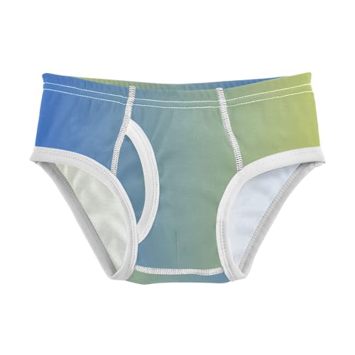 ODAWA Boxer Briefs Kids Blue Yellow Gradient Childrens Underwear Boys Boys Boxer Briefs Size 4