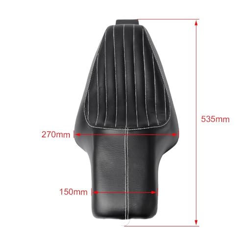 Asiento doble de Sportster XL para viajar acompañado en rutas de fin de semana con tu Iron 883 5