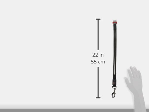 Flexi Vario Led Flash Belt L #TOP5